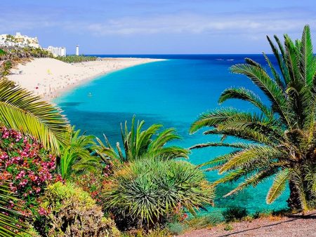 5 Reasons Why You Should Go to Fuerteventura for Your Next Vacation