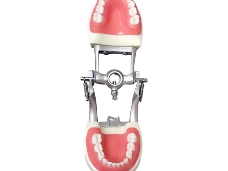 From Tooth Prep to Crown Delivery: A Complete Pre-Clinical Simulation Workflow for Dental Students
